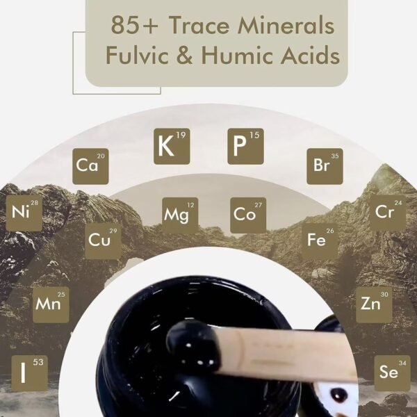 SAILAJIT RESIN Mineral Replenishment